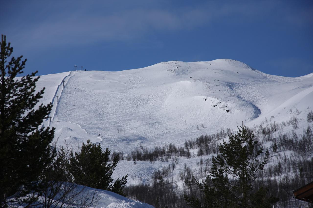 Lemonsjo Fjellstue Og Hyttegrend Randsverk Extérieur photo