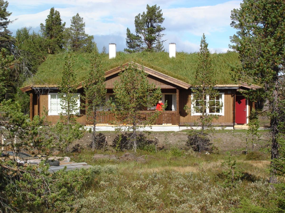 Lemonsjo Fjellstue Og Hyttegrend Randsverk Chambre photo