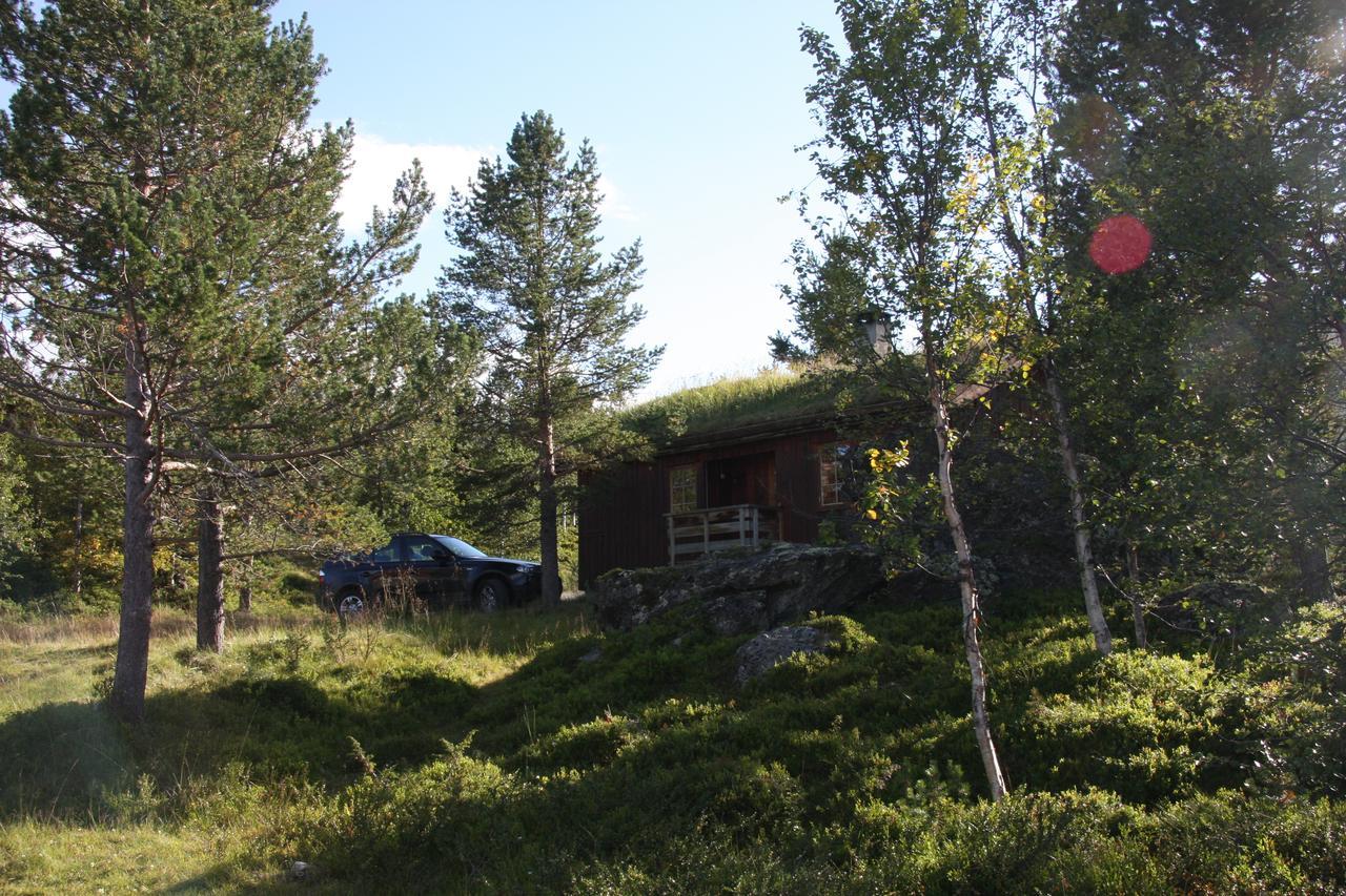 Lemonsjo Fjellstue Og Hyttegrend Randsverk Extérieur photo