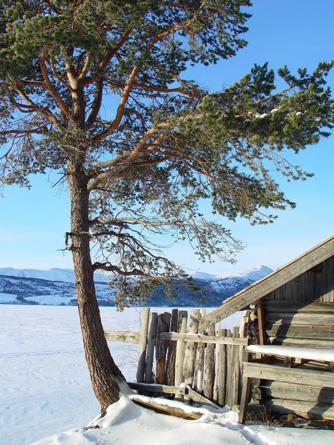 Lemonsjo Fjellstue Og Hyttegrend Randsverk Extérieur photo